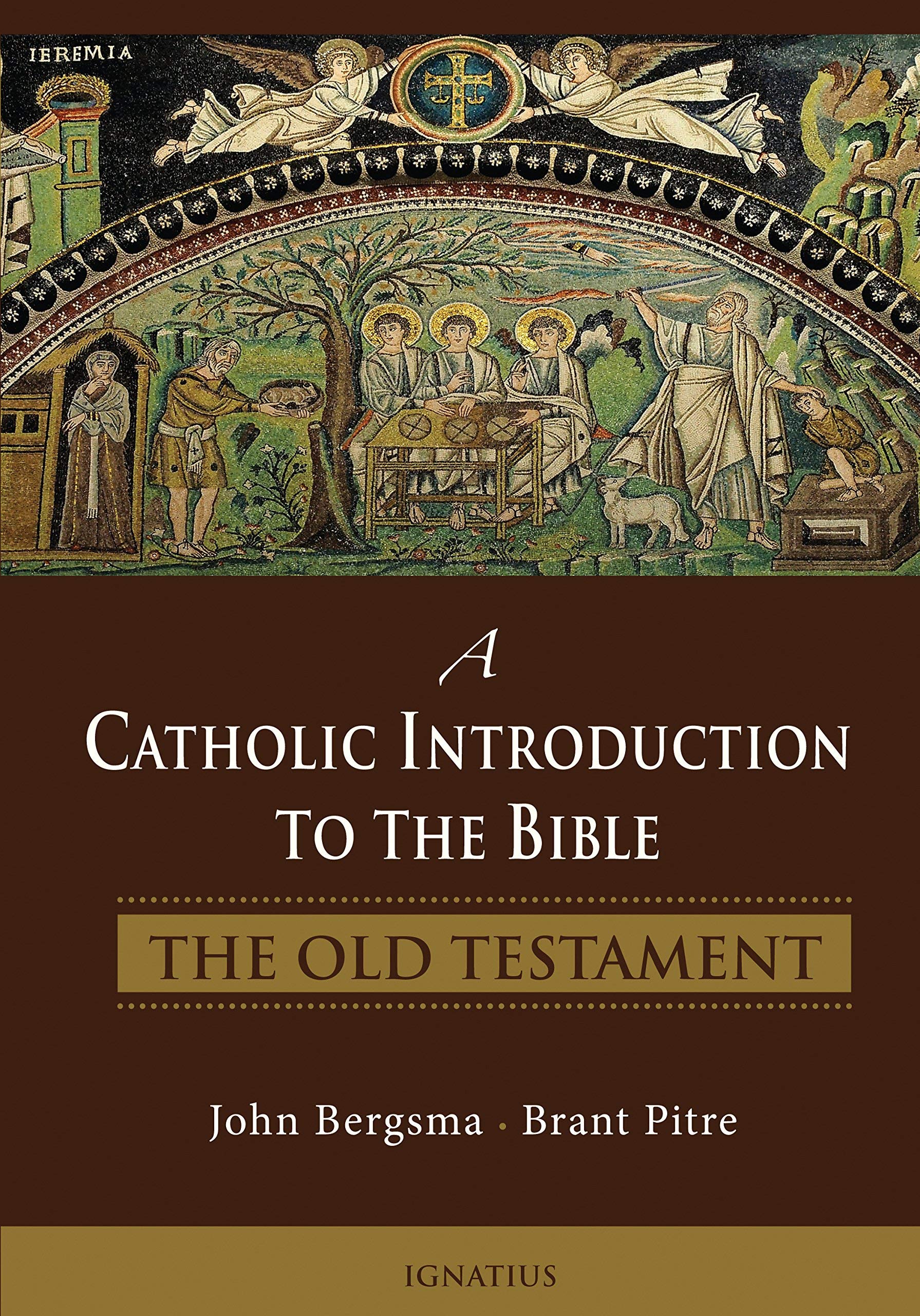 Catholic Introduction to The Bible: The Old Testament by Brant Pitre - Hardcover Edition | Perfect for Bible Study, Theology Classes & Catholic Faith Exploration