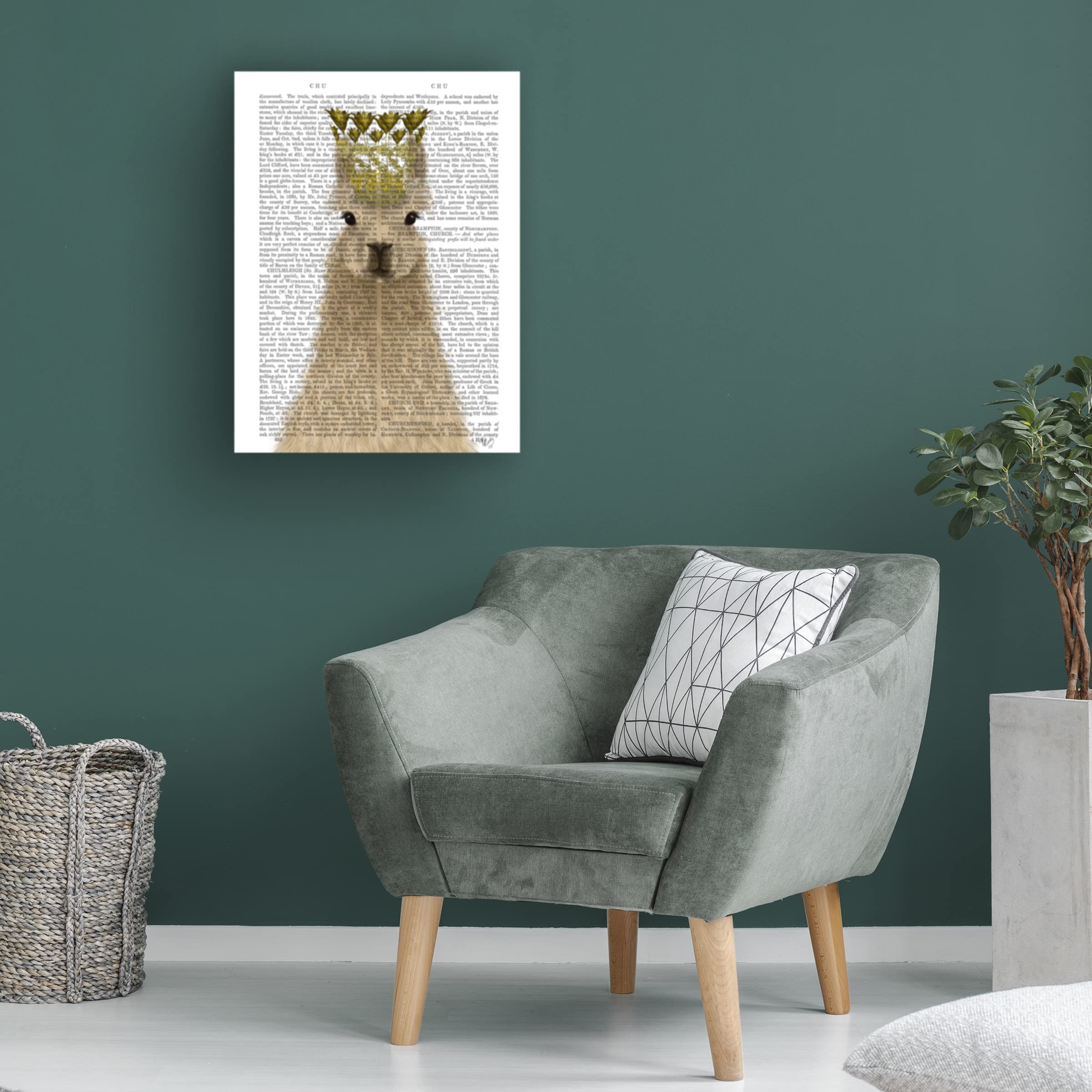 Trademark Fine Art 'Llama Queen Book Print' Canvas Wall Art by Fab Funky - Perfect for Nursery, Kids Room & Bohemian Home Decor
