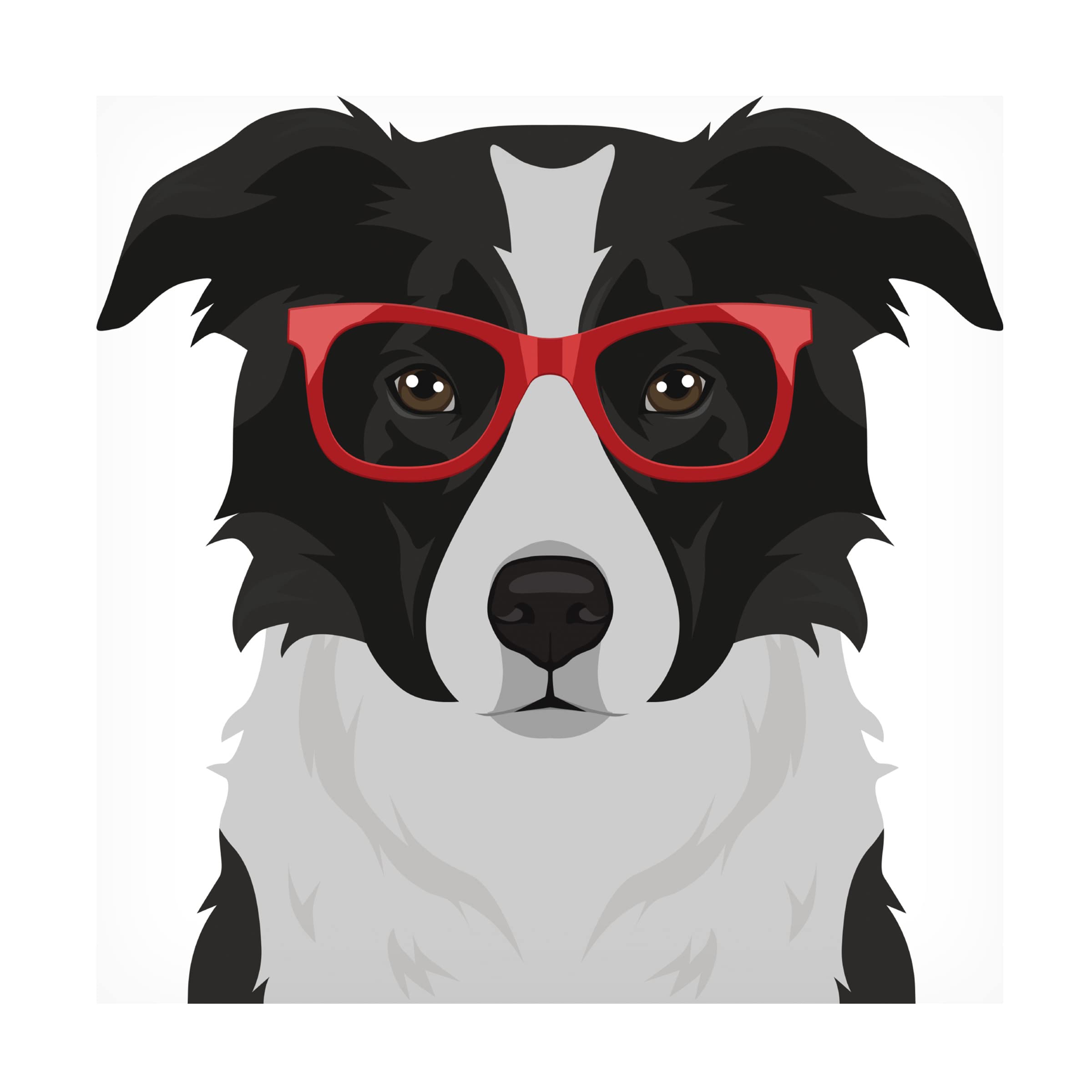 Border Collie Wearing Hipster Glasses Canvas Wall Art - Modern Dog Portrait Painting for Living Room, Bedroom & Office Decor - Funny Pet Lover Gift Idea