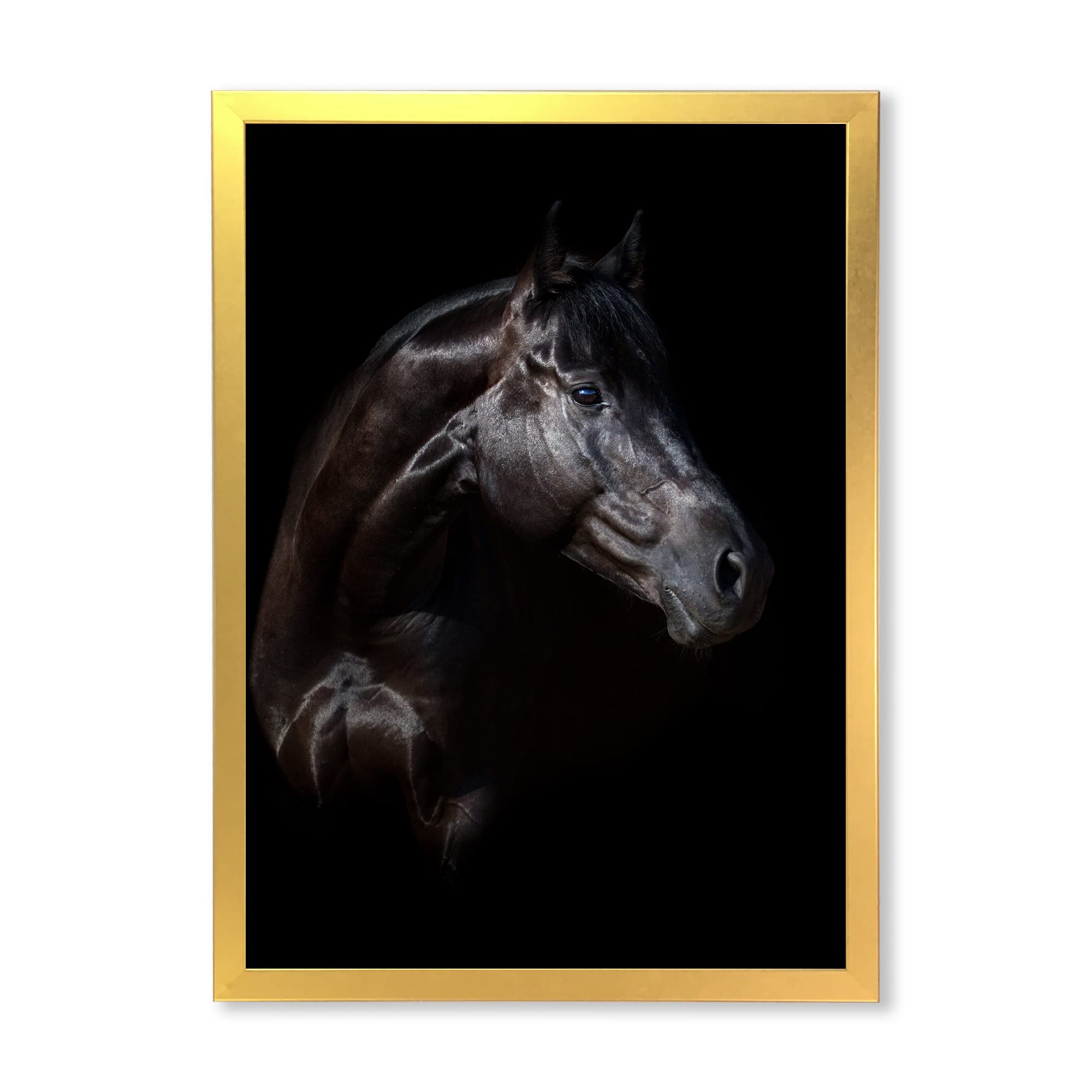DesignQ Horse and Girl Silhouette Farmhouse Framed Wall Art - Rustic Home Decor for Living Room, Bedroom & Office