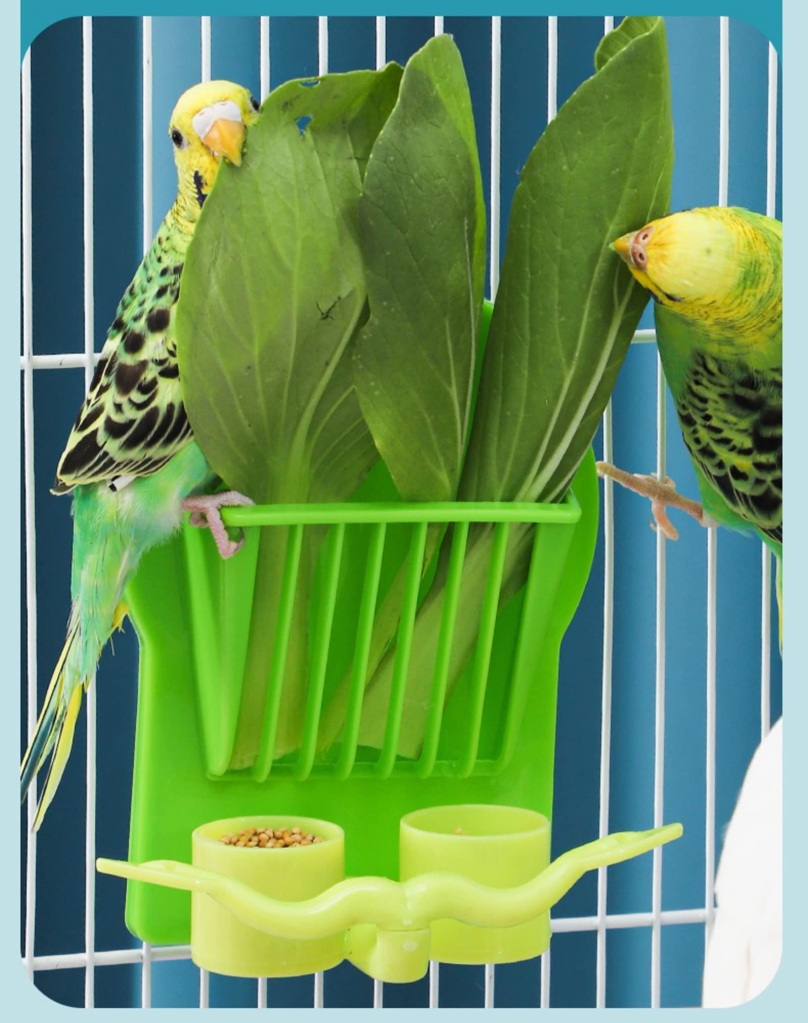 Premium Hanging Bird Feeder for Parrots - Durable Cage Fruit & Vegetable Holder - Pet Food Dispenser for Birds - Perfect for Cages, Aviaries & Bird Play Areas