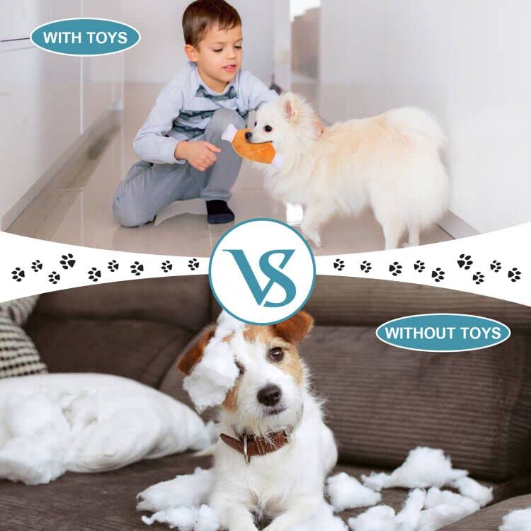 Best Dog Teething Toys for Puppies - 6 Pack Assorted Chew Toys for Small & Medium Dogs - Relieves Teething Pain & Anxiety - Perfect for Training, Playtime & Dental Health