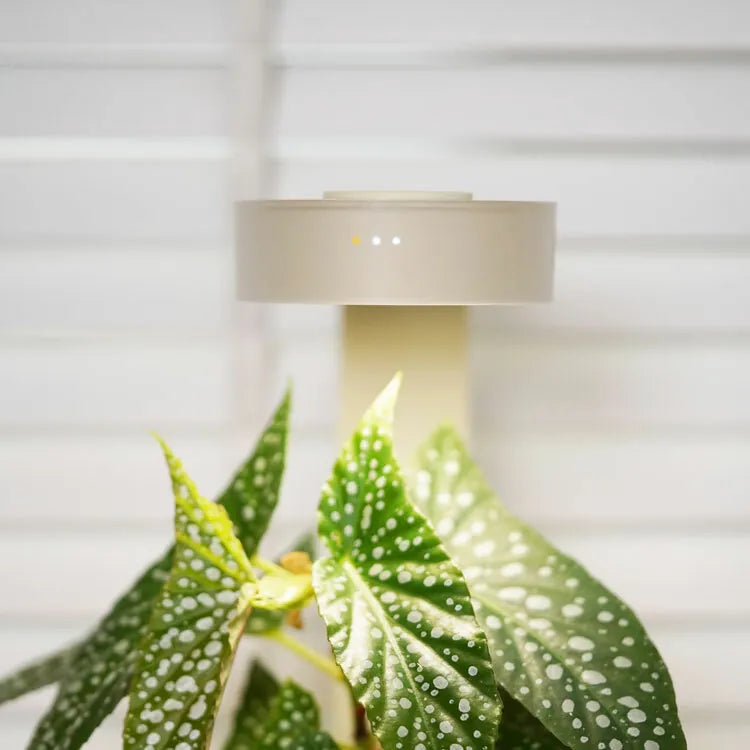 ONF MIST O Magnetic LED Plant Light for Indoor Gardening - Grow Healthy Herbs, Succulents & Houseplants with Full Spectrum Lighting
