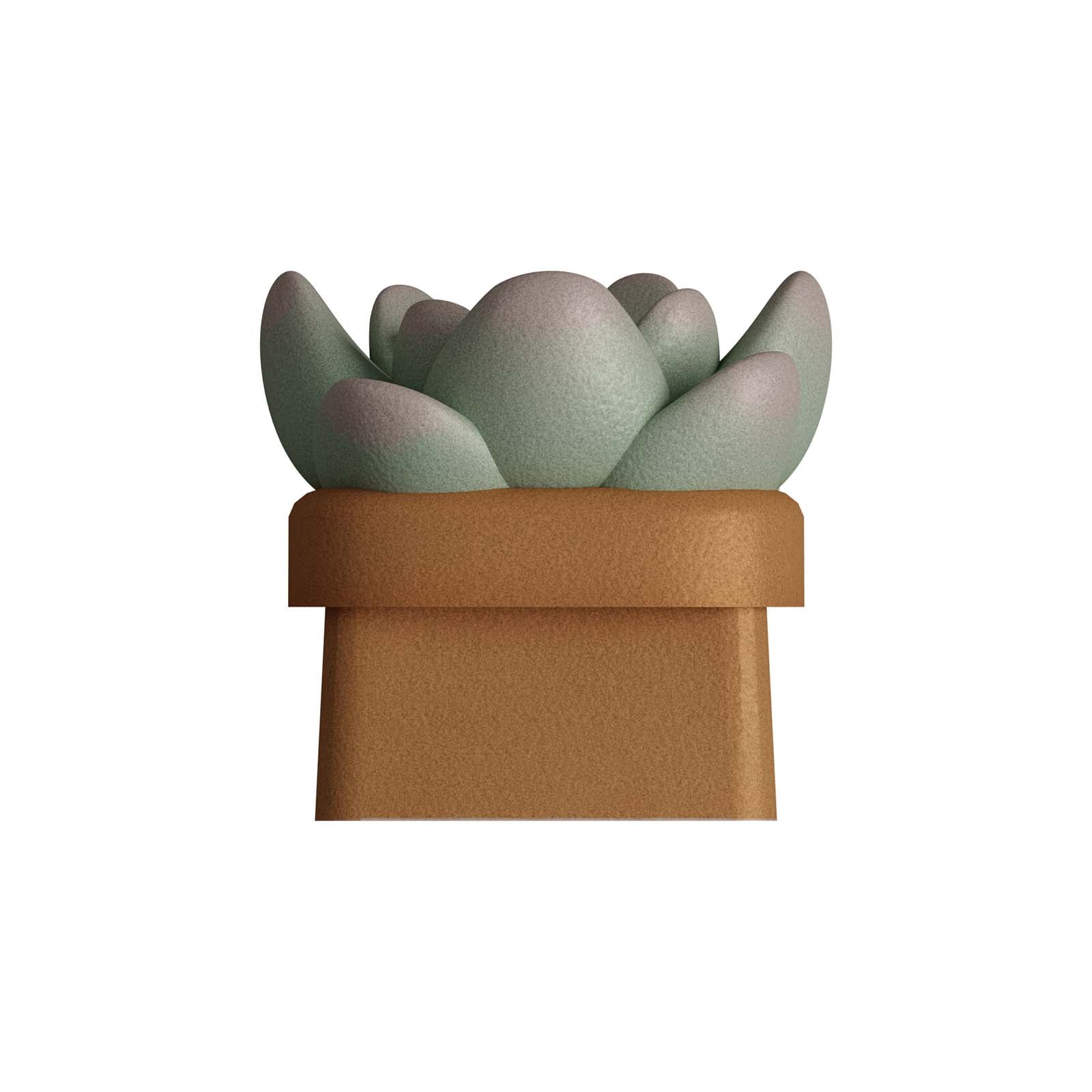 HX3D Custom Keycap - Sally the Succulent Design for Mechanical Keyboards | Perfect for Gaming, Typing & Office Work