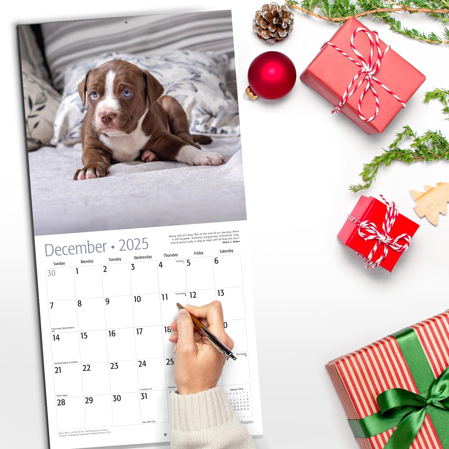 RED EMBER Pit Bull Puppies 2025 Wall Calendar - 12 Month Large Format (12x24 Inches) | Thick & Sturdy Paper | Perfect Gift for Dog Lovers | Home & Office Decor | Puppy Lover Wall Planner