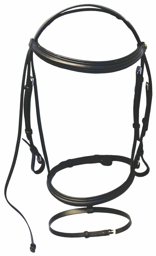 Henri de Rivel Padded Dressage Bridle with Flash & Web Reins - Premium Equestrian Gear for Dressage Training & Horse Riding Competitions