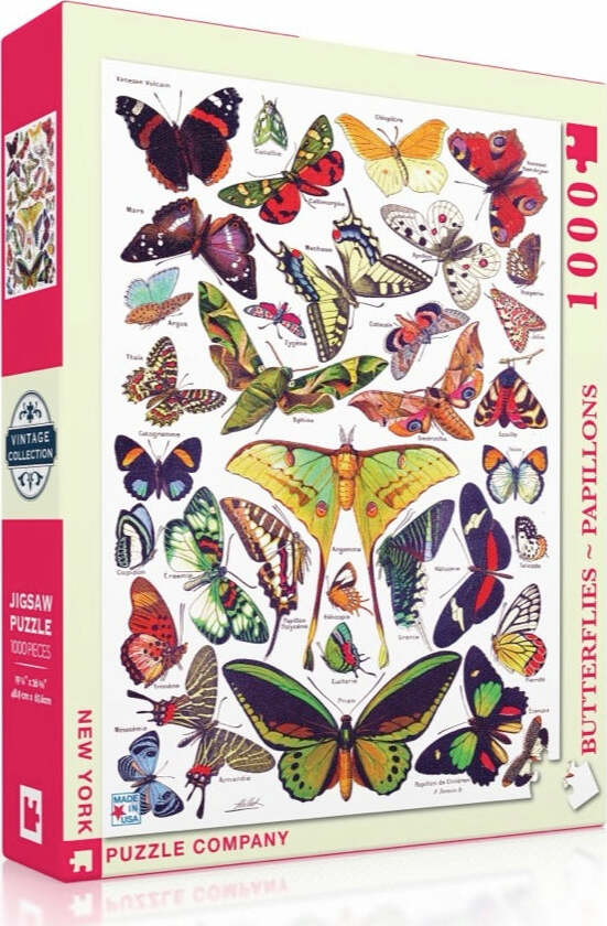 Beautiful Butterfly Decorations - Elegant Papillon Wall Art for Home & Office Decor | Perfect for Living Room, Bedroom, and Gift Giving