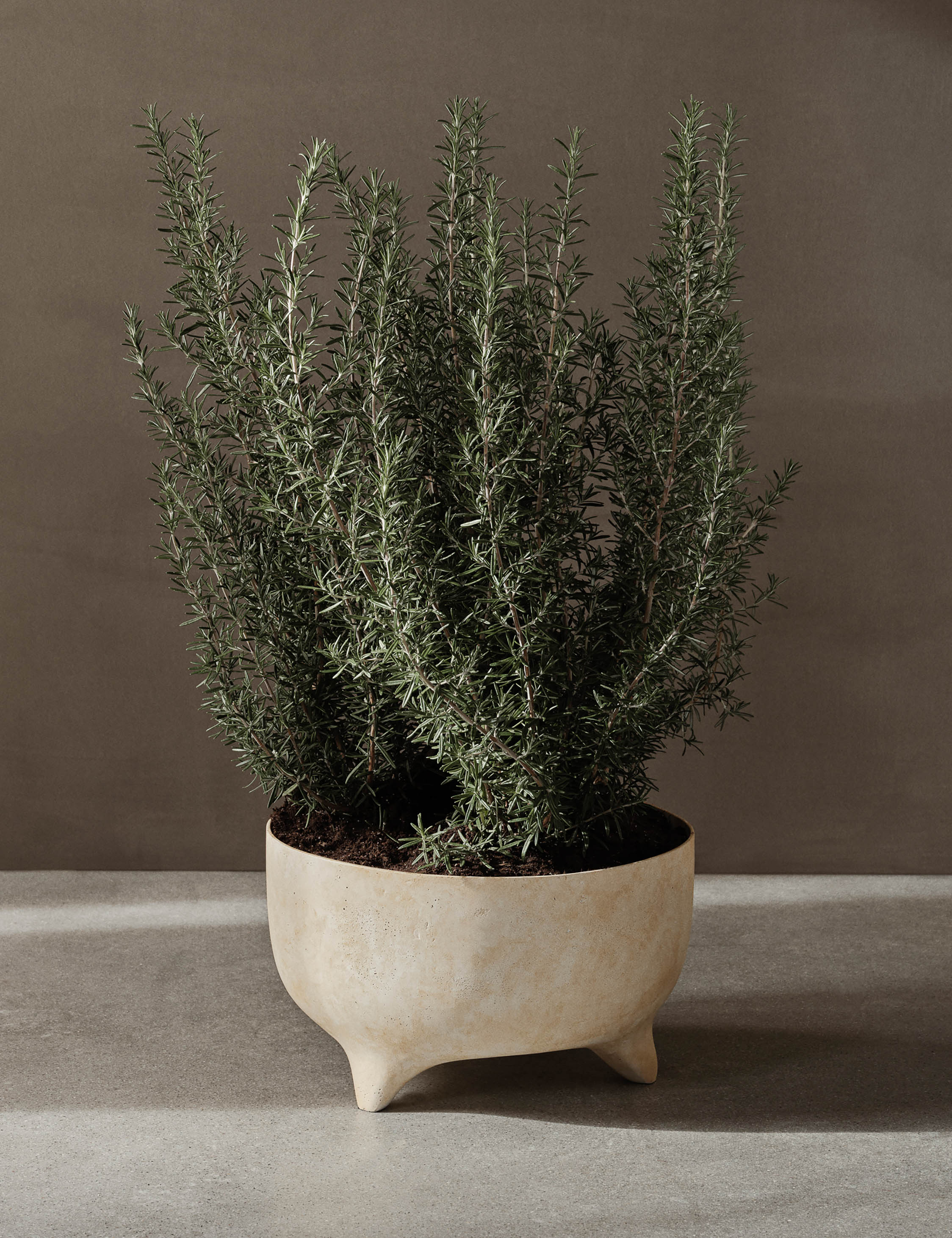 Ferm Living Evoke Pot - Modern Ceramic Planter for Indoor Plants, Home Decor & Office Desk Accessories | Perfect for Succulents, Herbs & Small Flowers