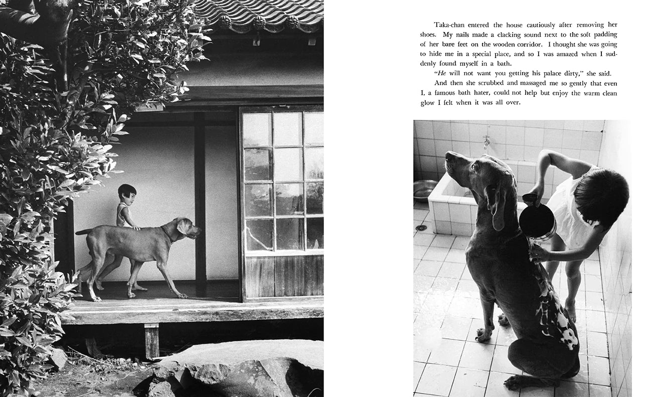 Taka Chan And I - Heartwarming Story of Friendship for Kids | Perfect for Bedtime Reading & Family Bonding