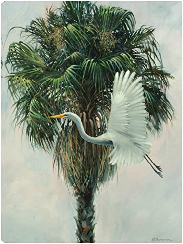 The Cabbage Palm