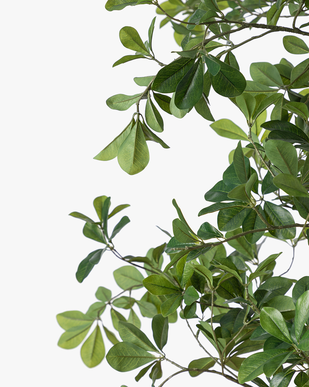 Shady Lady Faux Tree - 6ft Artificial Fiddle Leaf Fig Tree for Home & Office Decor - Perfect for Living Room, Bedroom, or Indoor Plant Decorations
