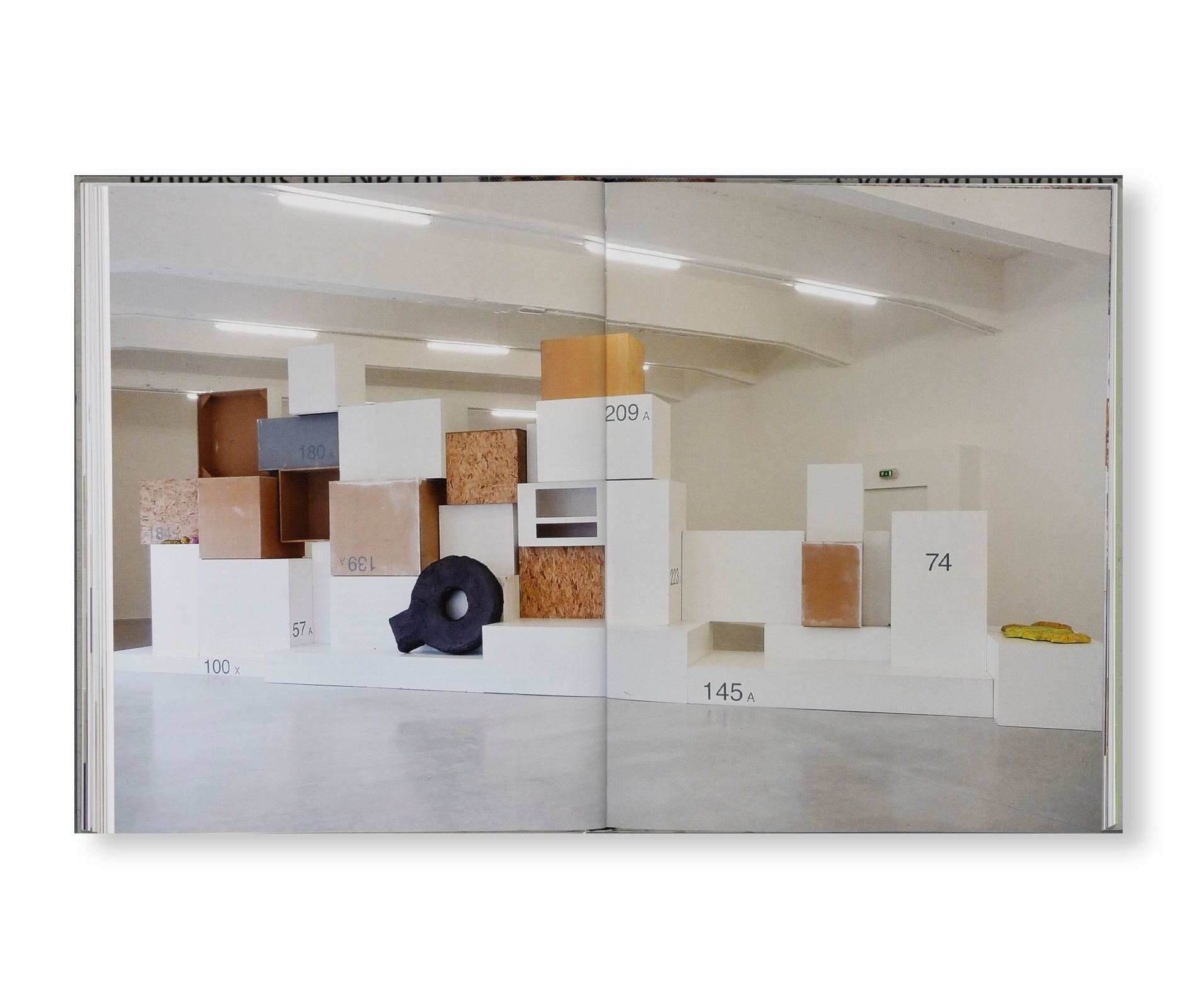 RACHEL HARRISON: FAKE TITLE Art Book by Rachel Harrison - Contemporary Art Collection for Home Decor & Artist Inspiration