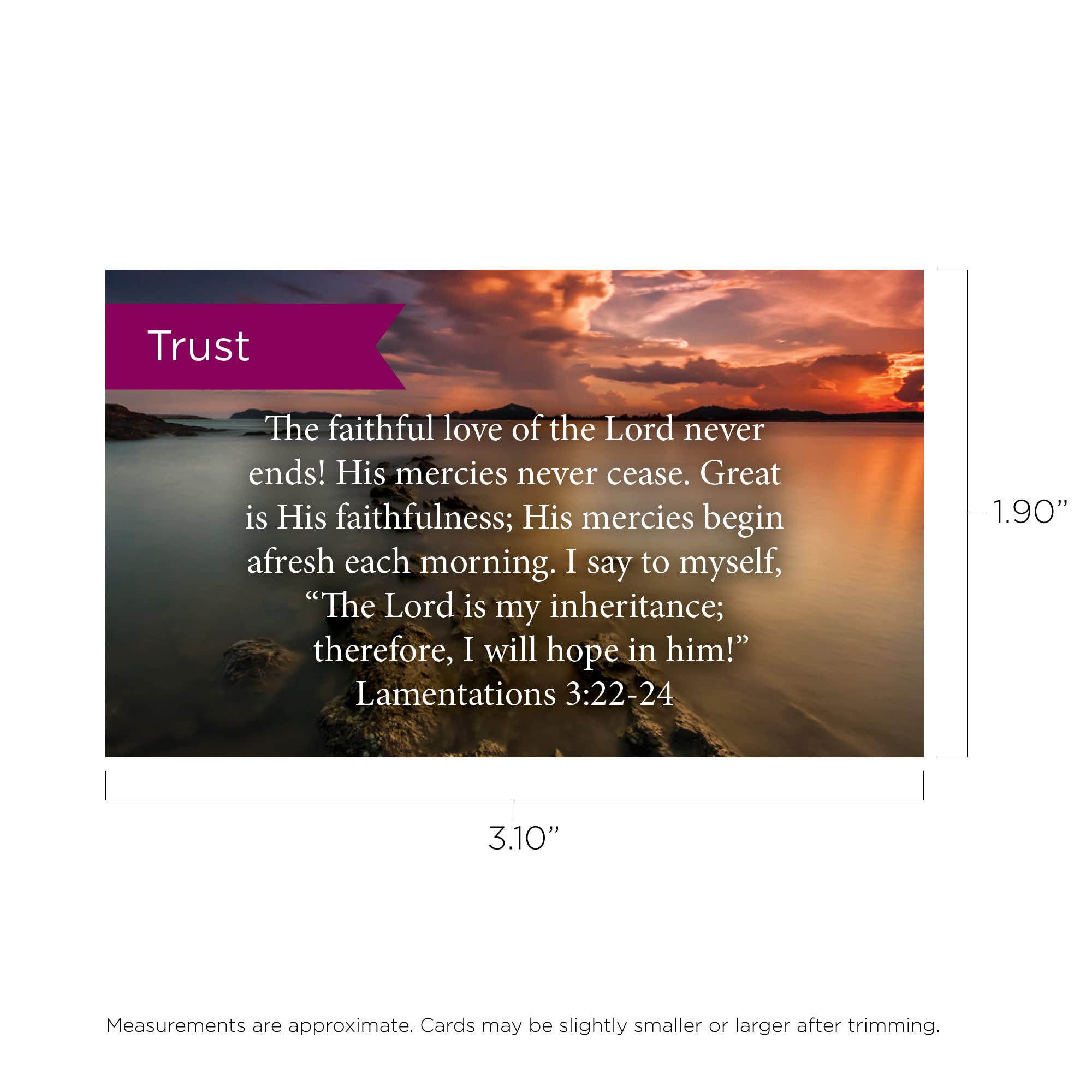 Trust Scripture Cards - Lamentations 3:22-24, Pack of 25 Bible Verse Cards for Devotion & Study | Christian Encouragement Gifts