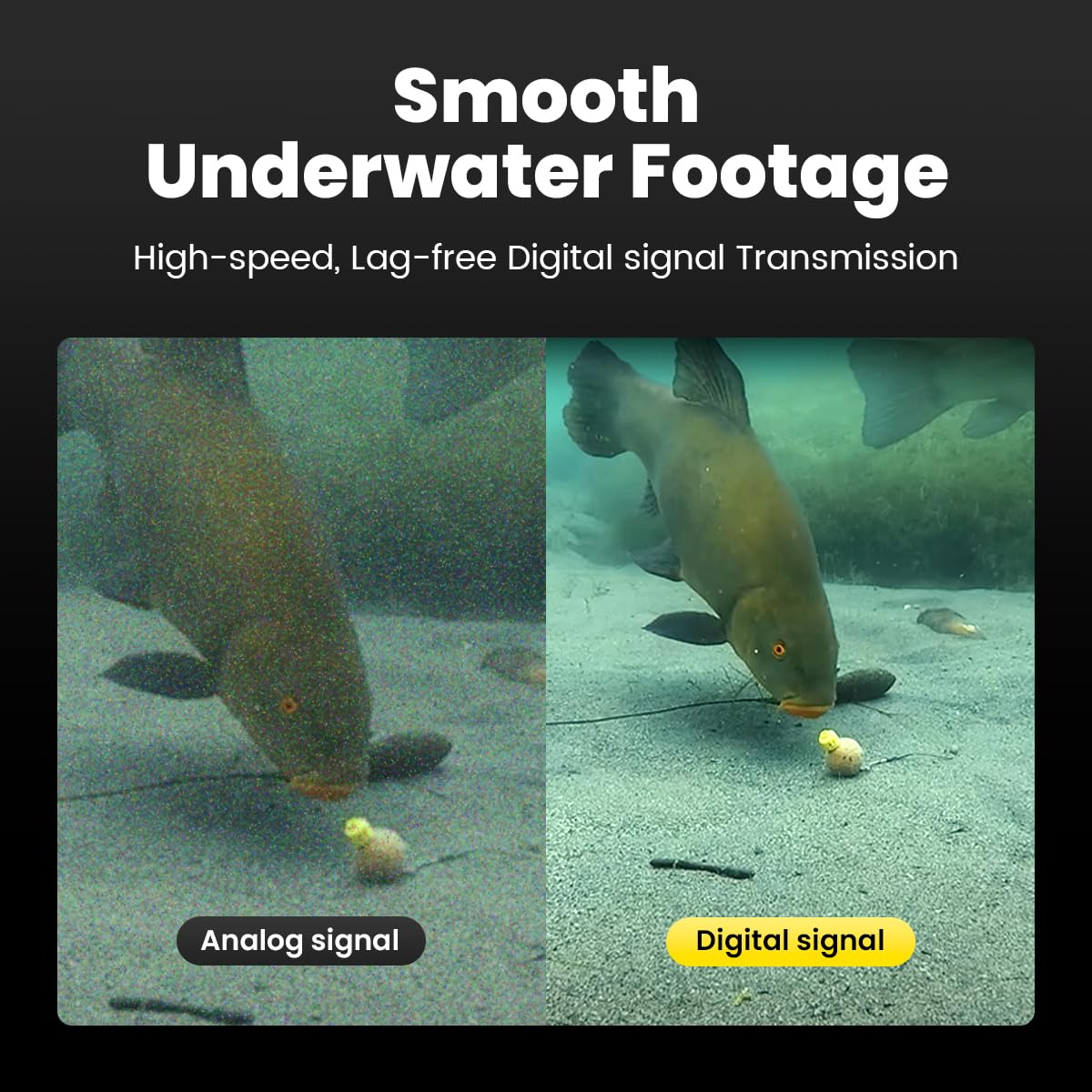 Chasing Canfish CF1 1080P Full HD Underwater Fishing Camera Kit with APP Remote Control - Portable Fish Finder for Real-Time Observation - Perfect for Ice Fishing, Kayak Fishing & Boat Fishing