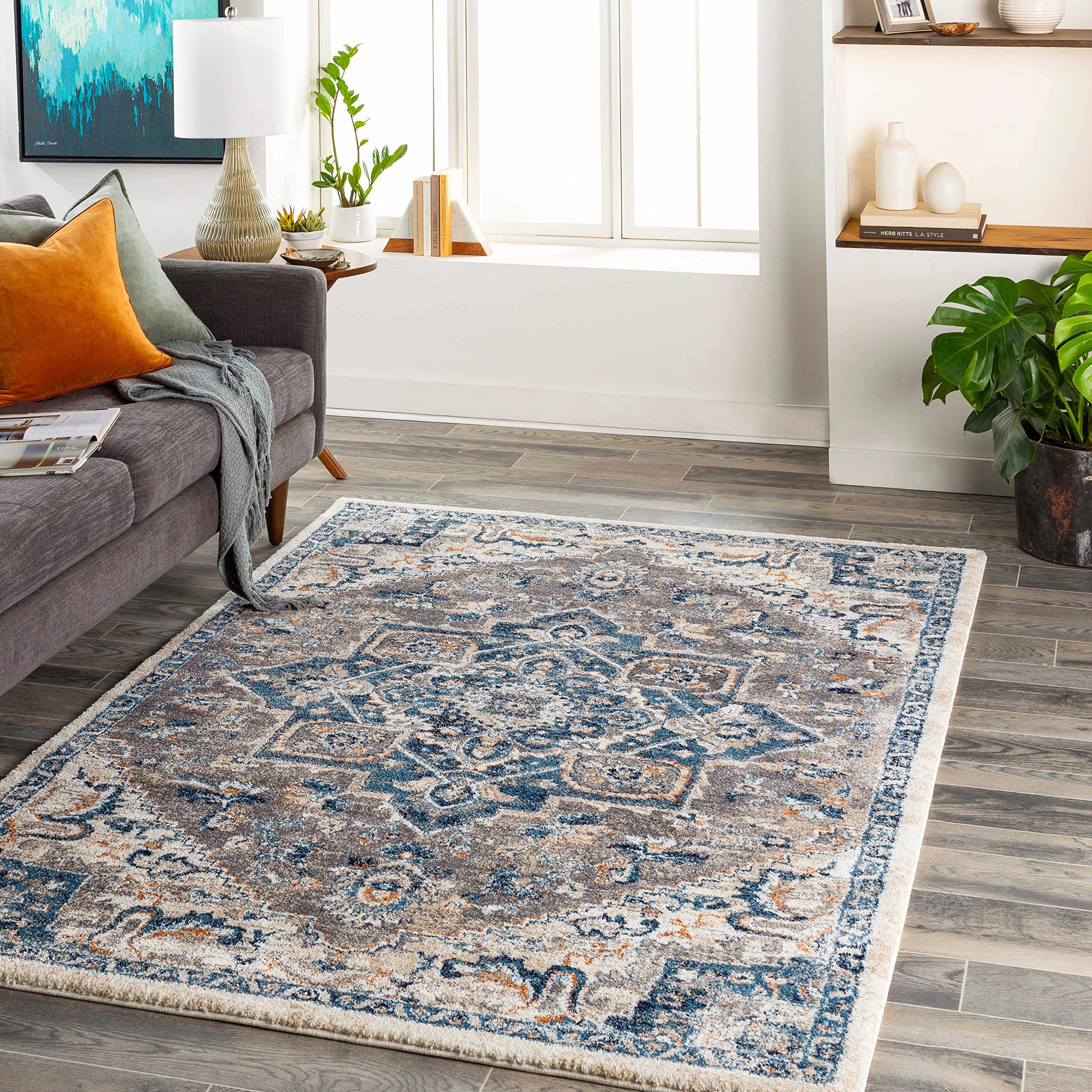 Hauteloom Taligaman Soft High Pile Area Rug for Living Room & Bedroom - 5'3