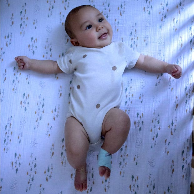 Owlet Dream Duo Smart Baby Monitor & Sock - Track Heart Rate & Oxygen Levels for Peace of Mind - Perfect for Newborns & Infants During Sleep & Playtime