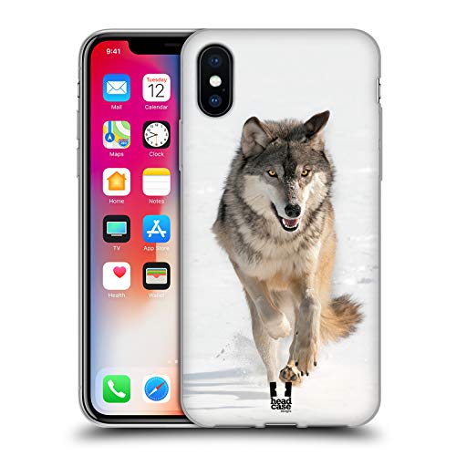 Grey Wolf Running