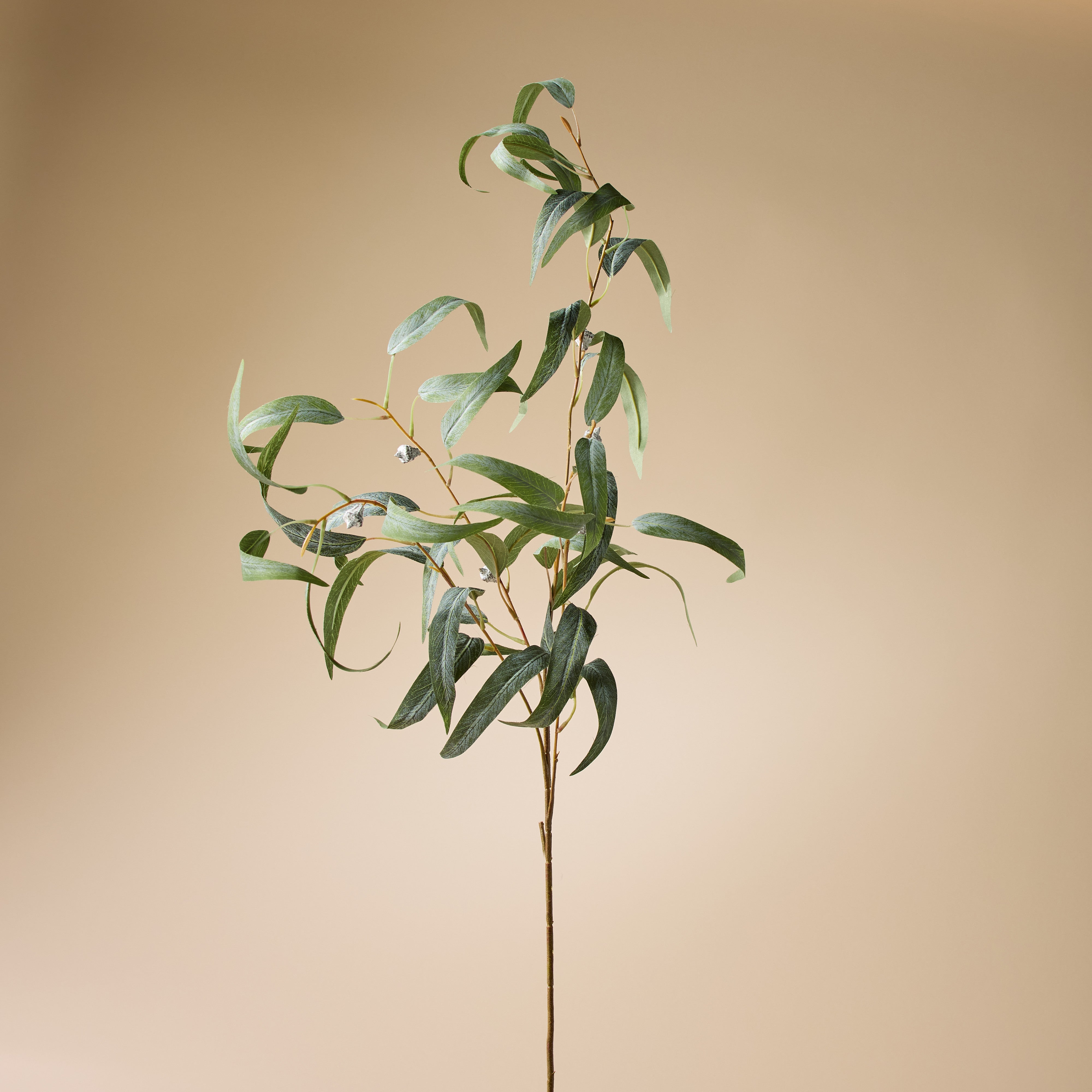 Artificial Rustic Eucalyptus Gumnut Spray - 40