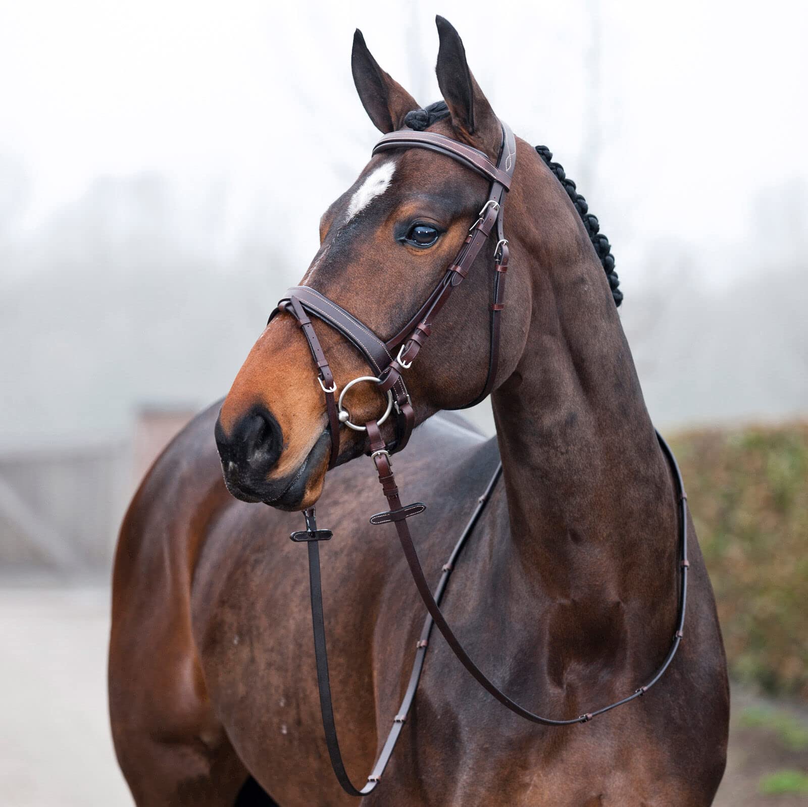 HORZE Venice Padded Synthetic Leather Snaffle Bridle with Flash and Reins - Comfortable Equestrian Horse Bridle for Dressage, Jumping & Trail Riding