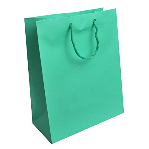 100 Large Aqua Gift Bags Bulk - Premium Quality Party Favor Bags for Birthdays, Weddings & Baby Showers - Reusable Plastic Gift Pouches for Favors, Treats & Small Gifts