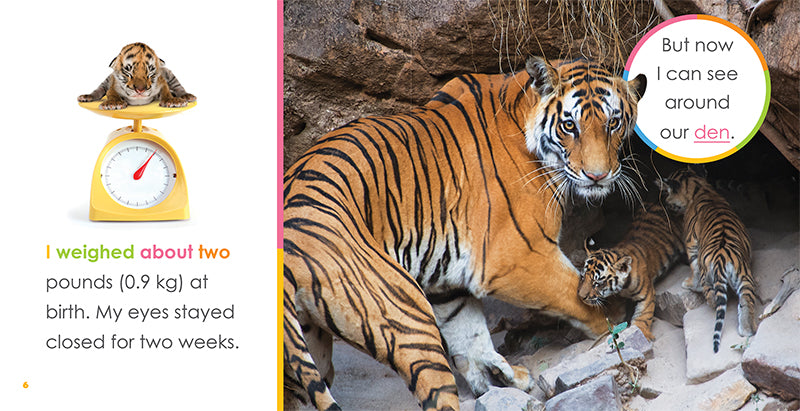 Baby Tigers Book - ISBN 9781640262522 - Perfect for Kids' Bedtime Stories & Animal Lovers