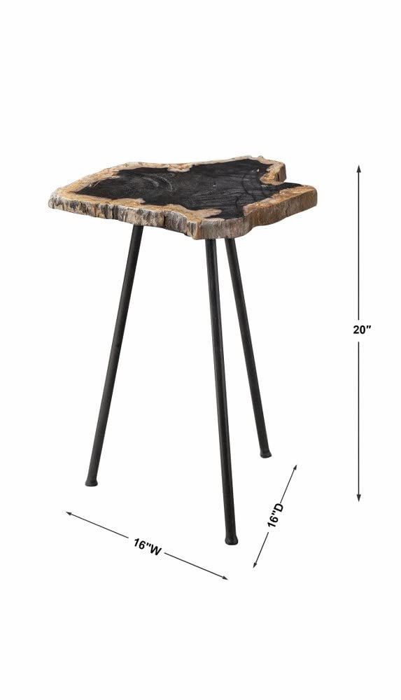 20 Inch Free Form Accent Table with Iron Legs - Nature Inspired Modern Side Table - Contemporary End Table for Living Room, Bedroom & Office Decor - 208-Bel-4190636
