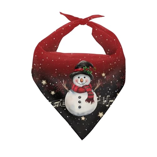 Christmas Snowman