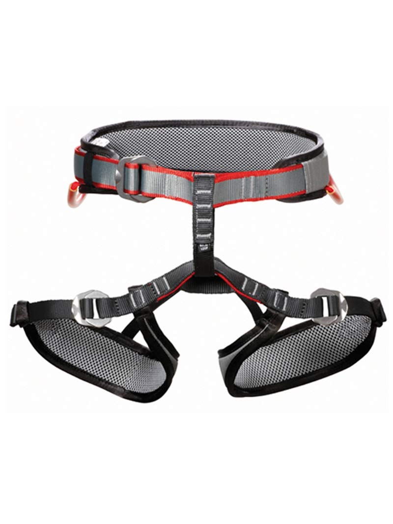 DMM Tom Cat Adjustable Pet Harness for Small Dogs & Cats - Soft & Comfortable Kids Pet Vest for Walking, Training & Outdoor Adventures