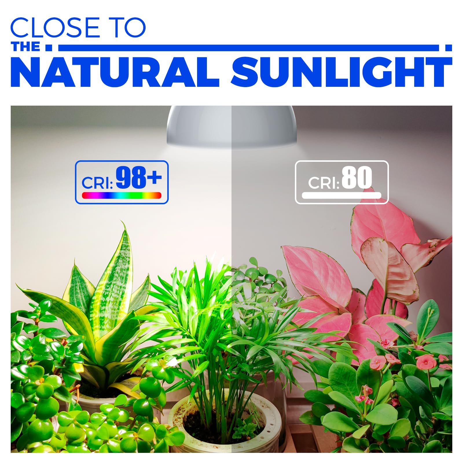 Barrina 25W Full Spectrum LED Grow Light Bulb with Timer - 4H/9H/14H Auto Timing & Hanging System - 16.4FT Power Cord for Indoor Plants - Perfect for Hydroponics, Greenhouses, and Home Gardening