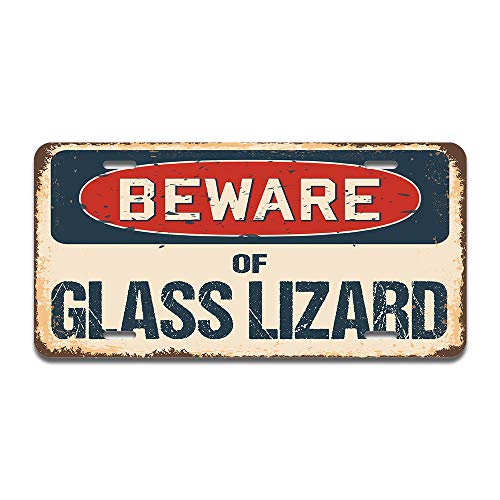 Beware of Glass Lizard
