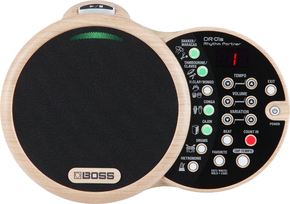 Boss DR-01S Digital Metronome & FS-6 Dual Foot Switch Bundle - Perfect for Guitar Practice, Drumming, and Music Recording Sessions