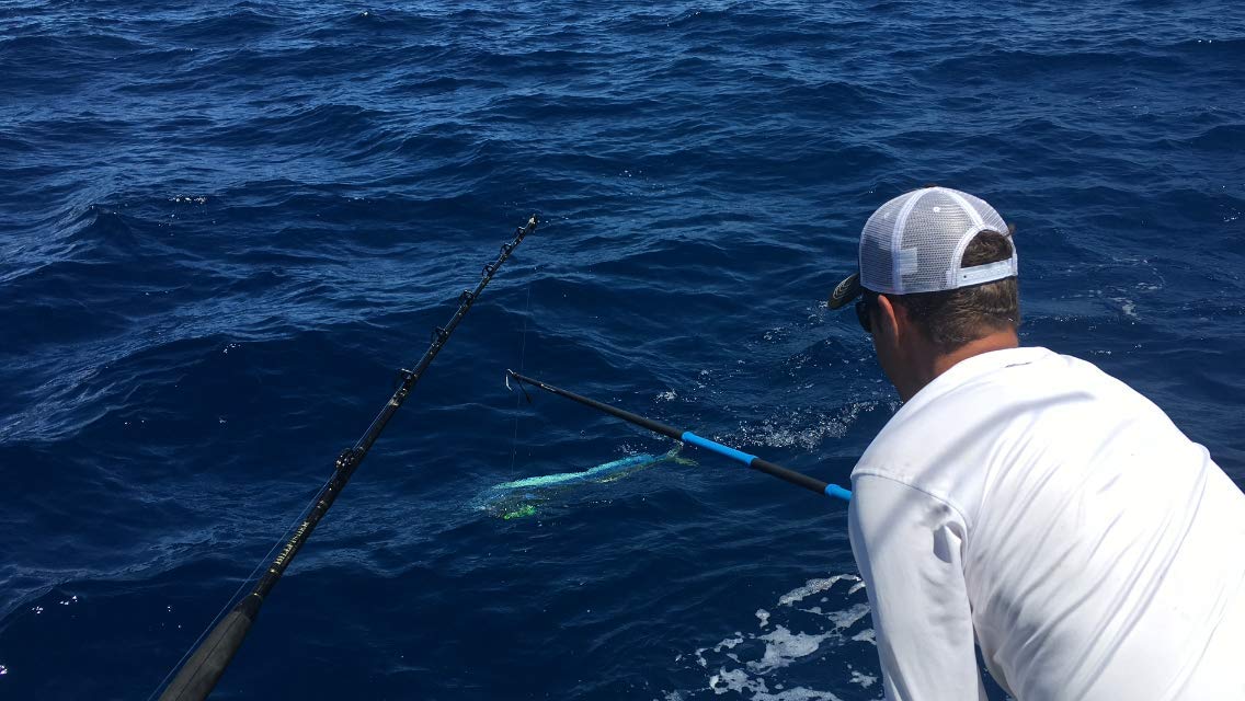 CudaCuda 4ft Carbon Fiber Gaff with 2