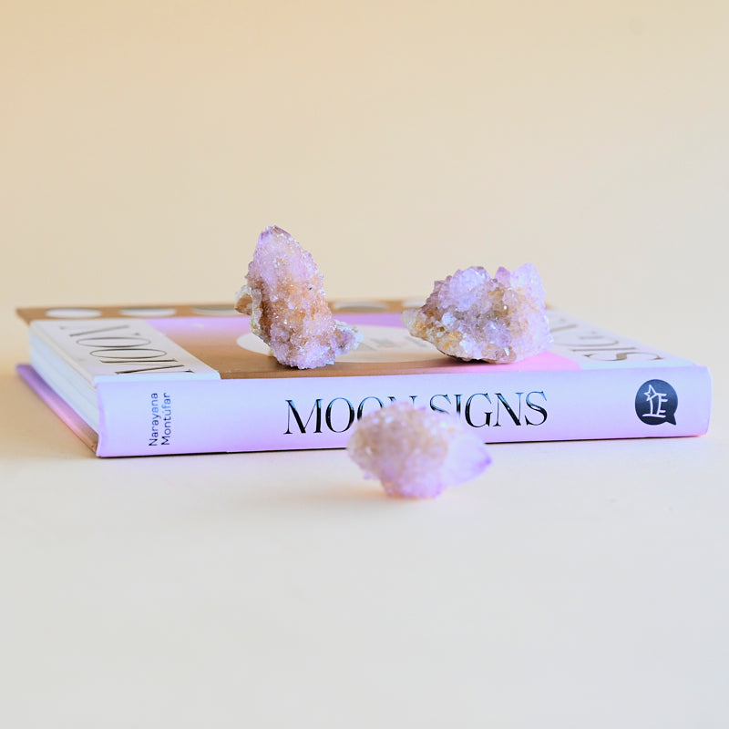 Mini Amethyst Spirit Cactus Quartz Cluster - Natural Healing Crystal for Meditation, Reiki & Home Decor | Perfect for Yoga Spaces, Office Desk & Gift Giving