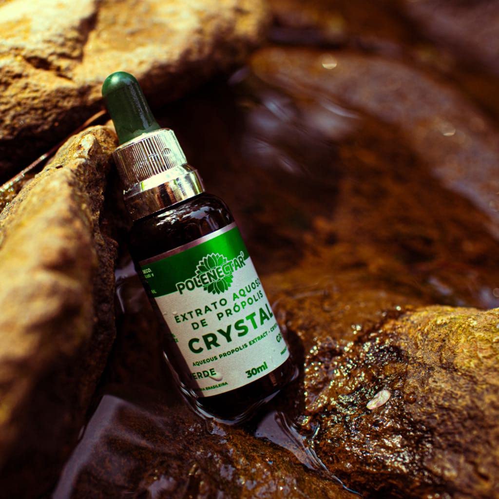 10 Bottles Green Propolis Crystal Aqueous Solution Extract 30ML - Natural Immune Support, Antioxidant Supplement for Daily Wellness & Skin Care
