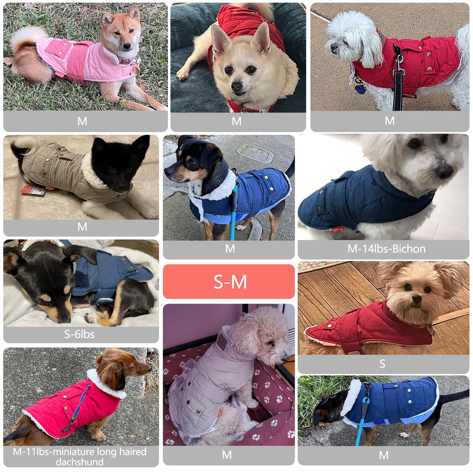 KYEESE Winter Dog Coat - Windproof Padded Sherpa Jacket with Furry Collar for Small Dogs | Warm Cozy Dog Clothes for Cold Weather | Perfect for Outdoor Walks, Winter Adventures & Daily Wear (Blue, Medium)