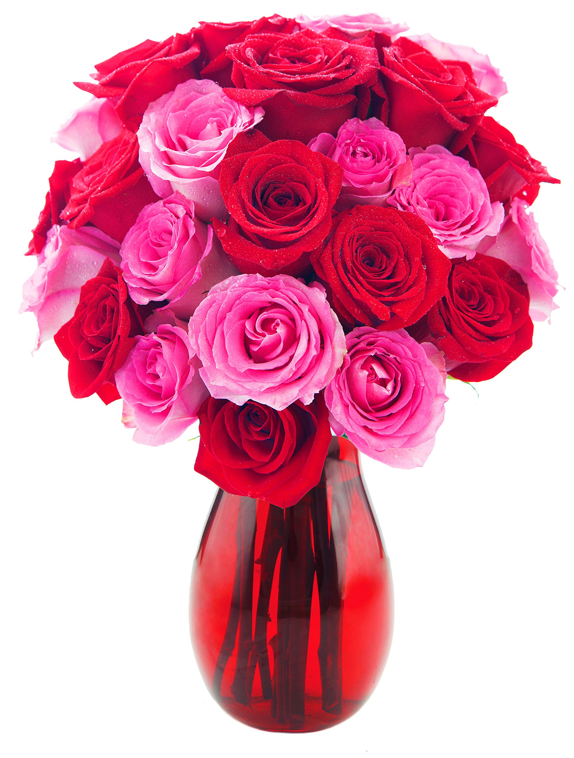 KaBloom Fresh Pink & Red Roses Bouquet in Vase - Next Day Delivery for Mother’s Day, Valentine’s, Birthday & Special Occasions - Perfect Romantic Gift for Anniversaries, Get Well Wishes & Thank You Presents