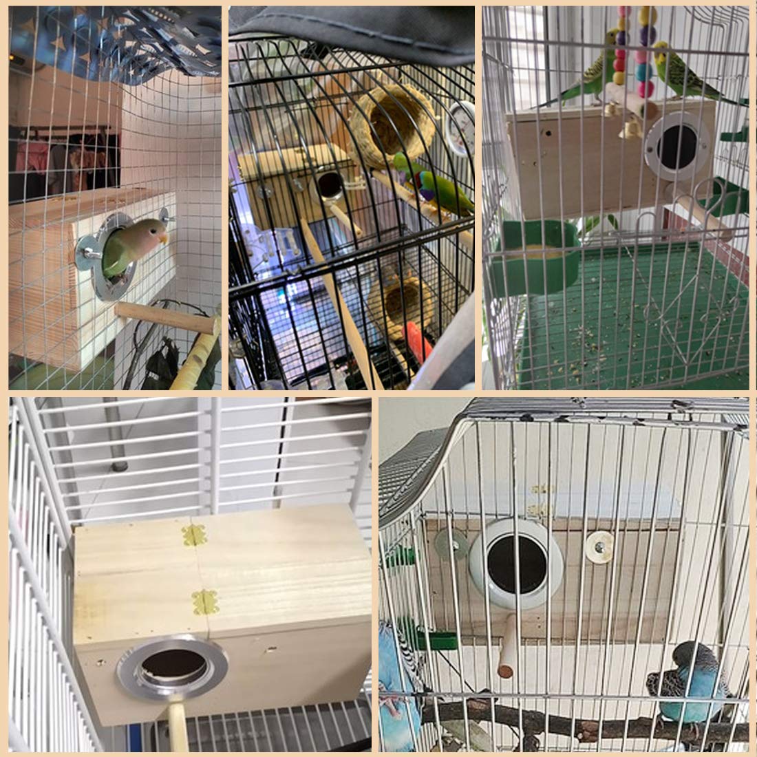 Premium Wooden Parakeet Nesting Box - Safe & Comfortable Bird House for Lovebirds, Budgies, Finches, Cockatoos, Canaries & Medium Birds | Perfect for Breeding, Mating & Bird Watching in Your Home Aviary or Garden