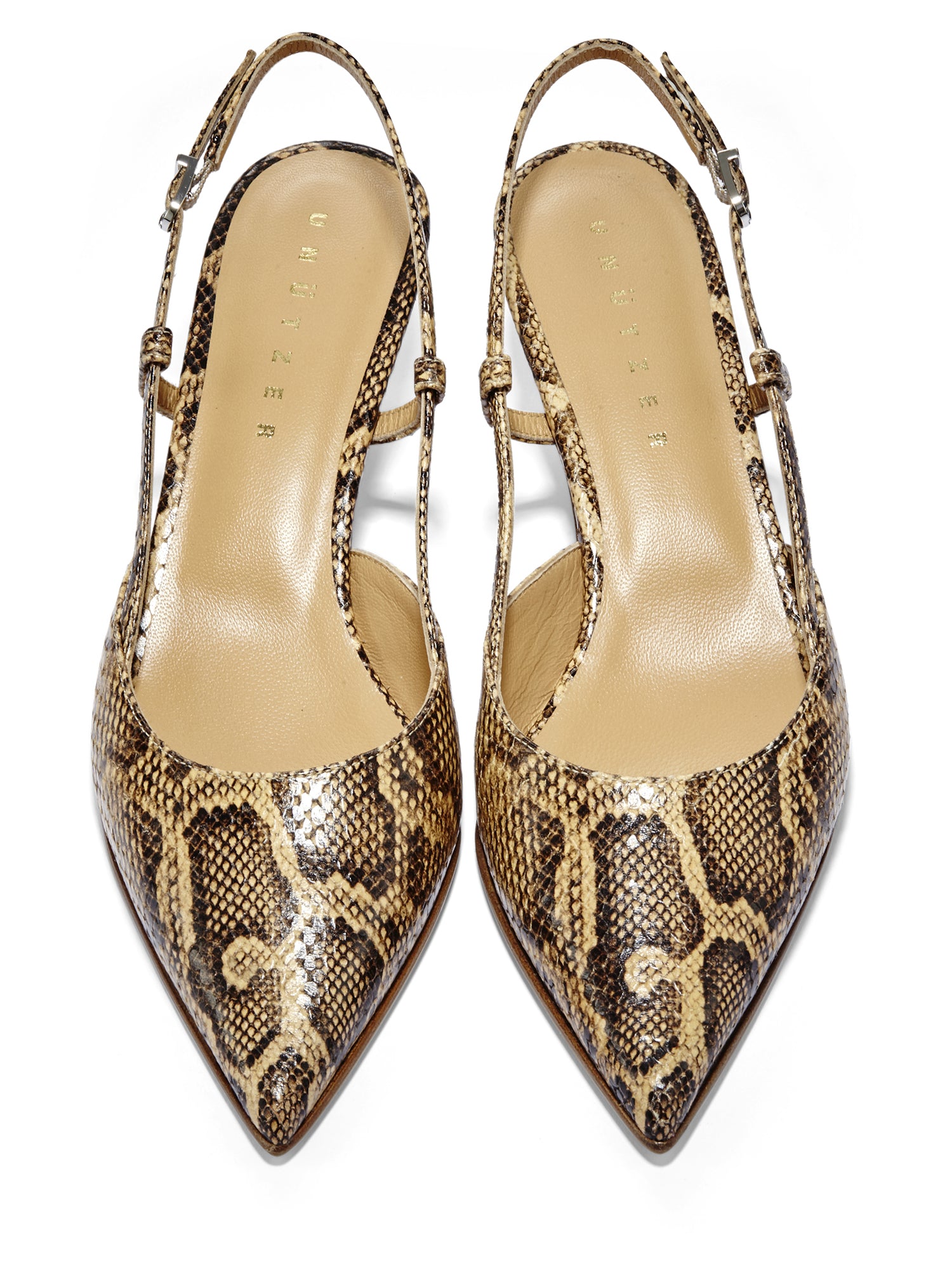 Brianna Women's Python Print High Heel Pumps - Elegant Pointed Toe Stiletto Shoes for Party, Wedding & Evening Wear