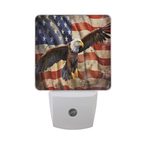 American Flag02