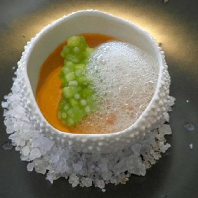 Premium Sea Urchin Sushi Plates - Fresh Uni Sashimi & Sushi Grade Delicacy for Fine Dining & Japanese Cuisine Lovers