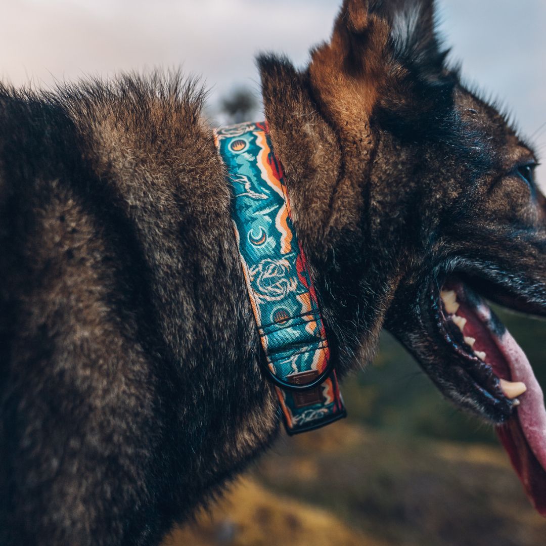 Desert Wolf Dog Collar - Handmade Leather Pet Collar with Unique Artistic Design | Durable & Adjustable for Large Dogs | Perfect for Outdoor Adventures, Hiking & Daily Walks