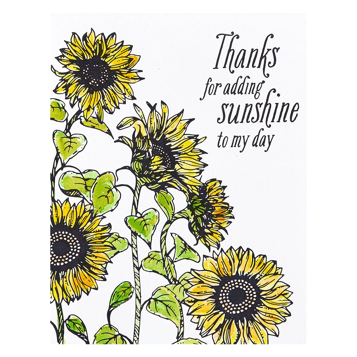 Spellbinders Sunflower Field BetterPress Metal Press Plate for Card Making & Scrapbooking | DIY Greeting Cards, Invitations & Paper Crafts
