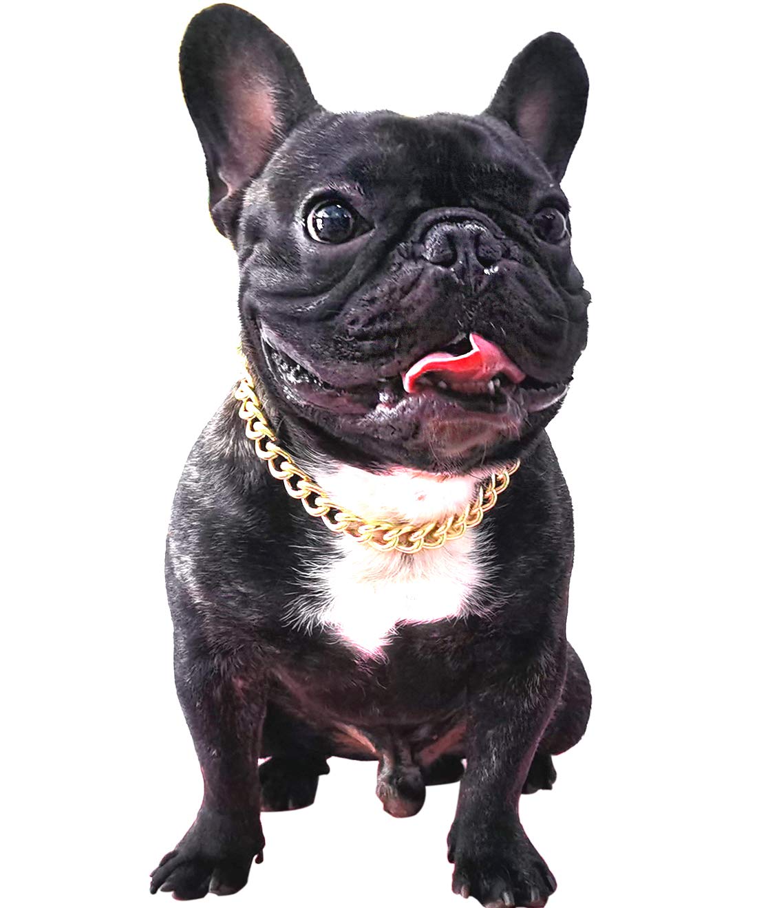 15mm Gold Chain Dog Collar - Stylish Light Metal Puppy Necklace for Bulldogs & Small Dogs (11 inches) | Perfect for Pet Costumes, Parties & Fashion Accessories