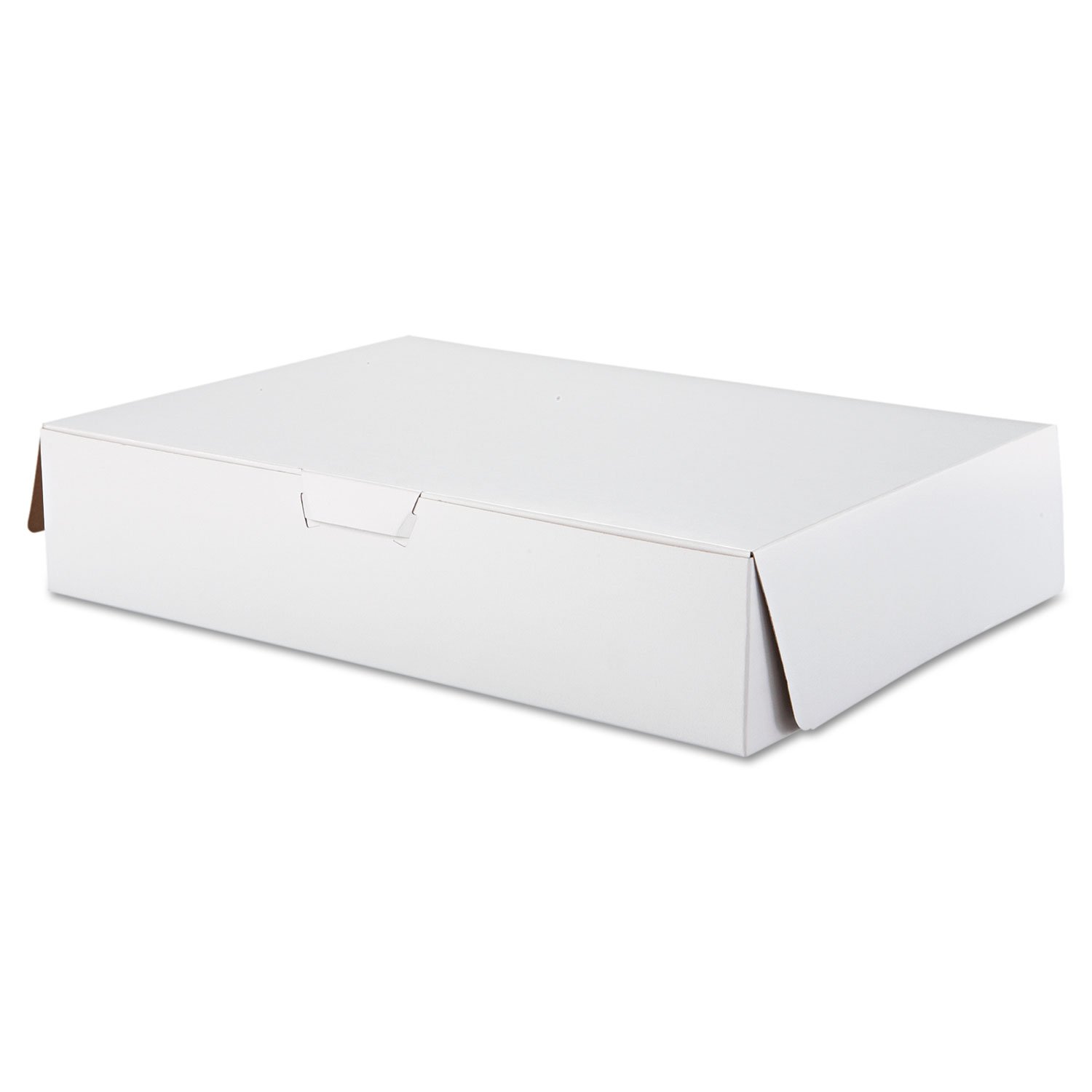 SCT White Tuck-Top Bakery Boxes 19x14x4 Inches - Pack of 50 - Perfect for Cookies, Cupcakes & Pastries - Eco-Friendly Takeout Packaging for Bakeries & Cafes