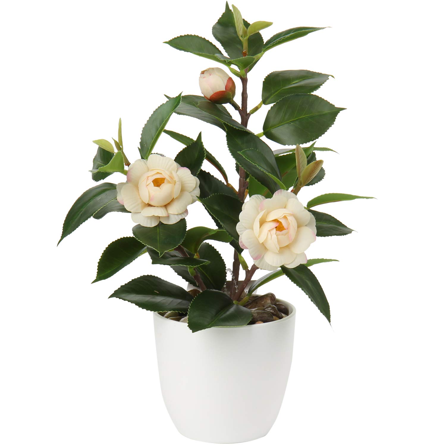 Briful Mini Camellia Artificial Potted Plants - Small Faux Plastic Flowers in Vase for Home, Office, Kitchen & Indoor Decor | Perfect Desk Plant for Workspace, Living Room & Gift Ideas