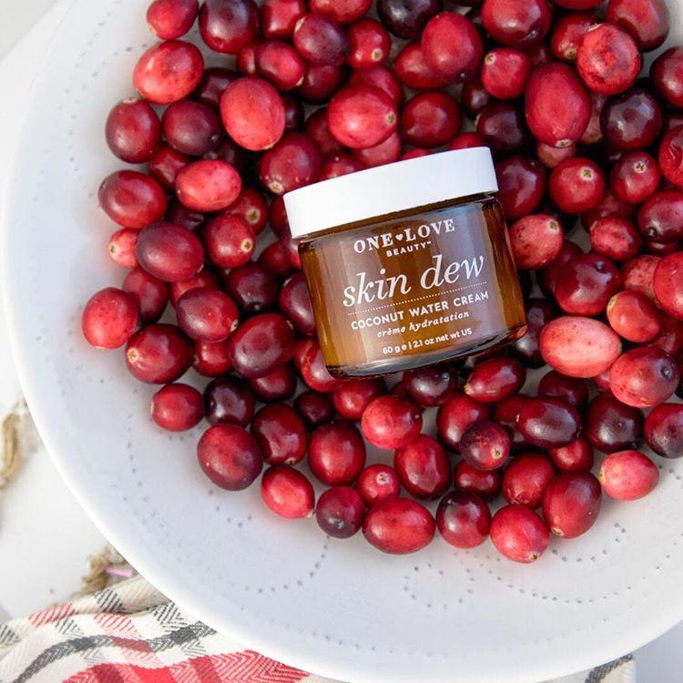 Skin Dew Coconut Water Cream - Hydrating & Nourishing Face Moisturizer for Dry & Sensitive Skin | Perfect for Daily Skincare Routine & Nighttime Hydration