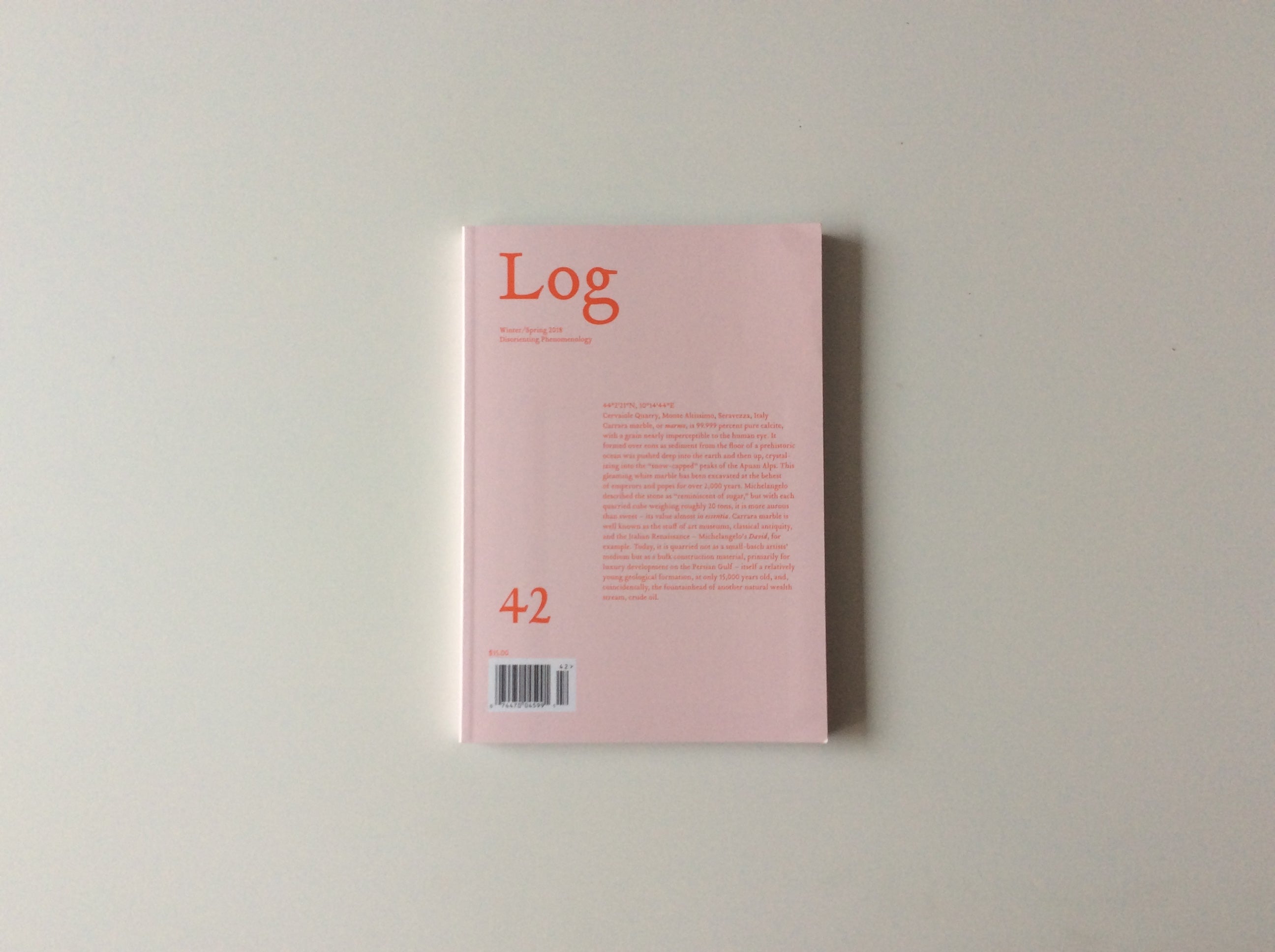 Log 42: Disorienting Phenomenology - Abstract Art Print for Modern Home & Office Decor | Perfect for Contemporary Wall Art & Unique Gift Ideas