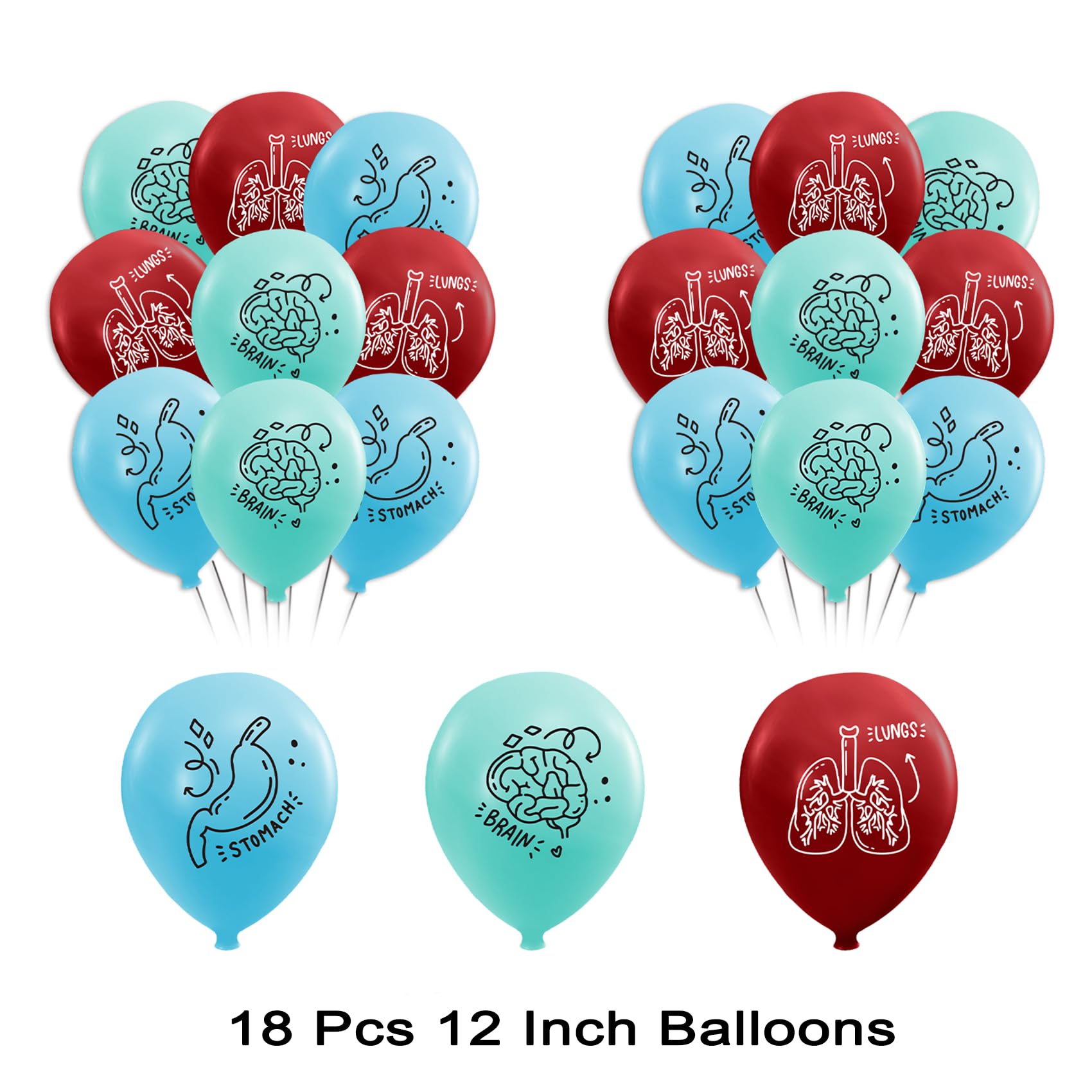 Human Anatomy Party Decorations Set - Happy Birthday Banner, Cake Topper, Cupcake Toppers & Balloons for Medical Themed Parties, Halloween Decor, Science Classroom Decorations