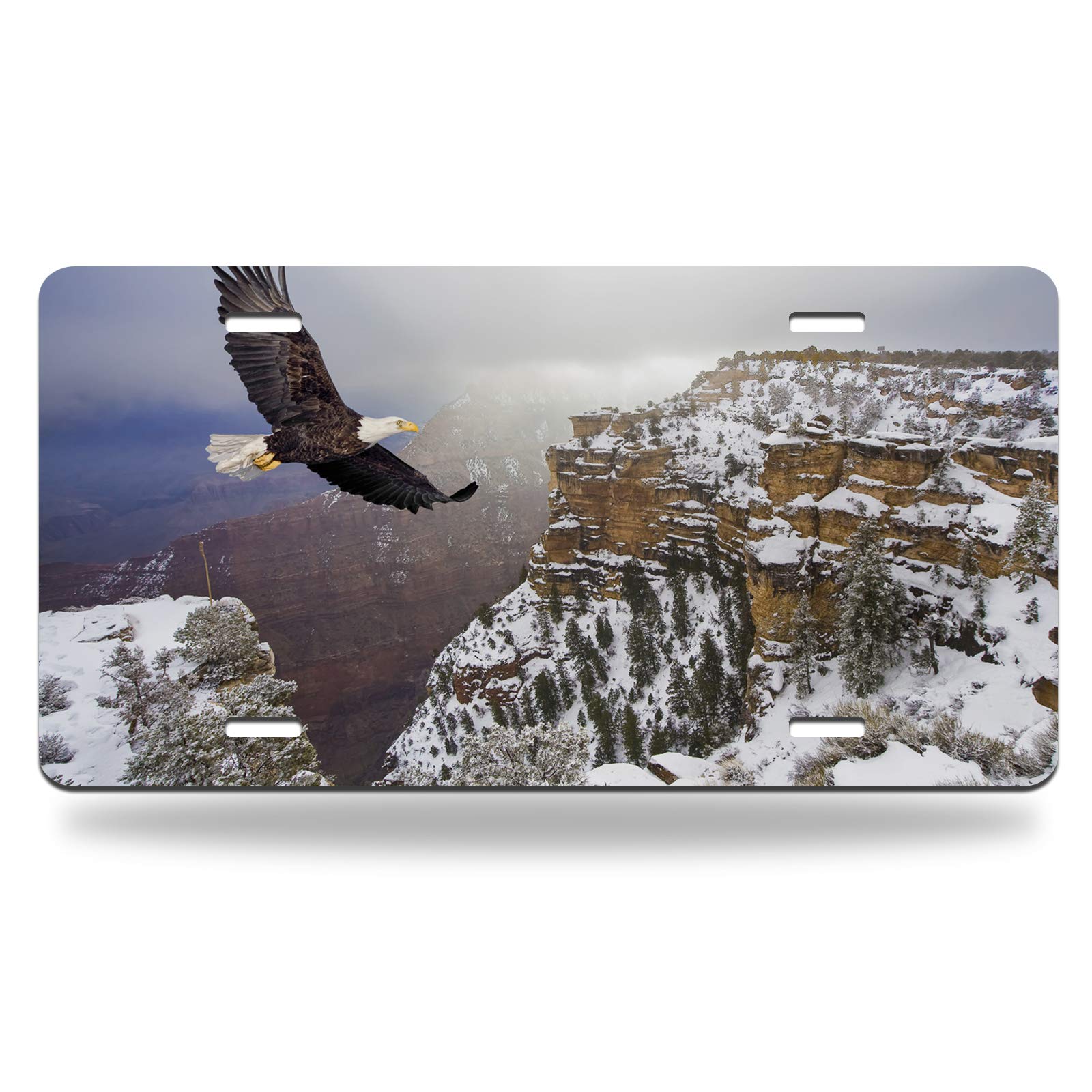 Swono Bald Eagle License Plate - 6