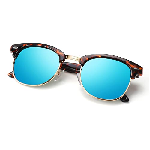 A14- Tortoise | Blue | Golden Rim